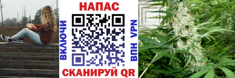 Купить наркотики сайты Губкин Канабис  COCAIN  Гашиш  A PVP  Меф 