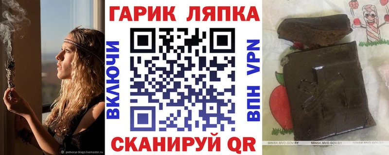 что такое   Губкин  Гашиш индика сатива 