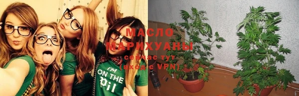шишки Балахна