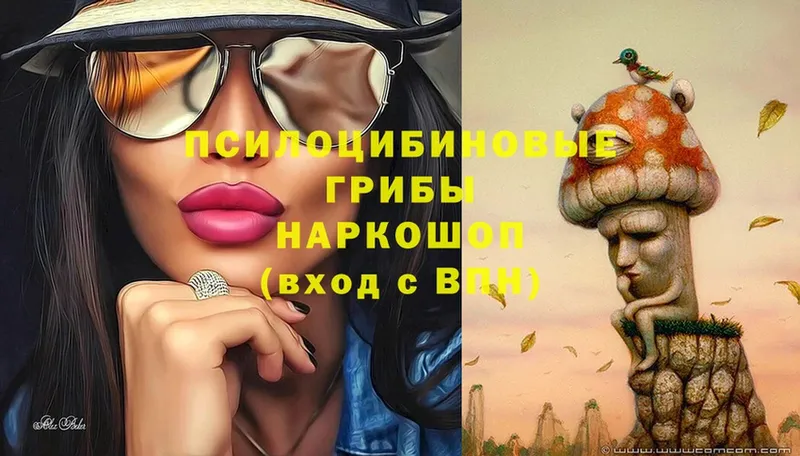 Псилоцибиновые грибы GOLDEN TEACHER  Губкин 