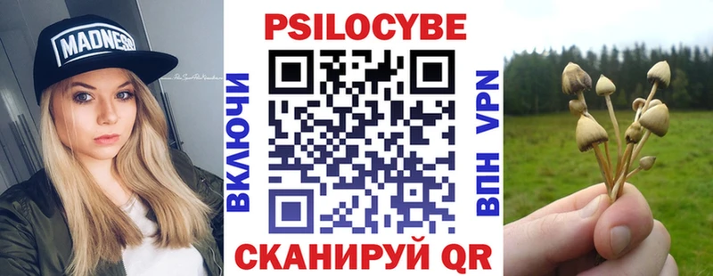 Галлюциногенные грибы мухоморы  цены наркотик  Губкин 